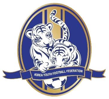 대한청소년축구협회